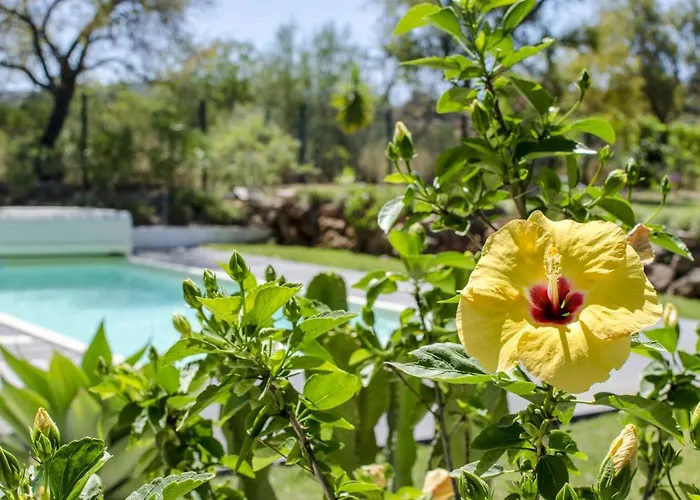 Villa Isabelle By Algarve Holidays - Loule Villa Loulé