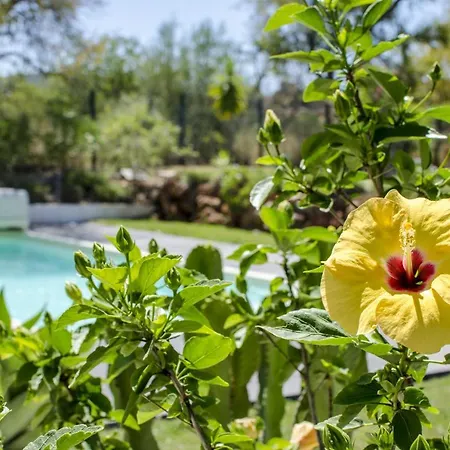 Isabelle - 빌라 롤레